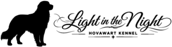 Hovawart Kennel - Light in the Night
